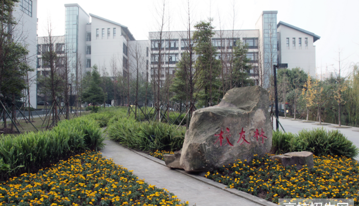 重庆理工大学医学院