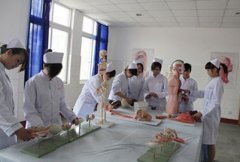 初中生需要多少分才可以报读成都卫校