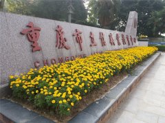 2019年重庆市立信职业教育中心(职教中心)招生简章