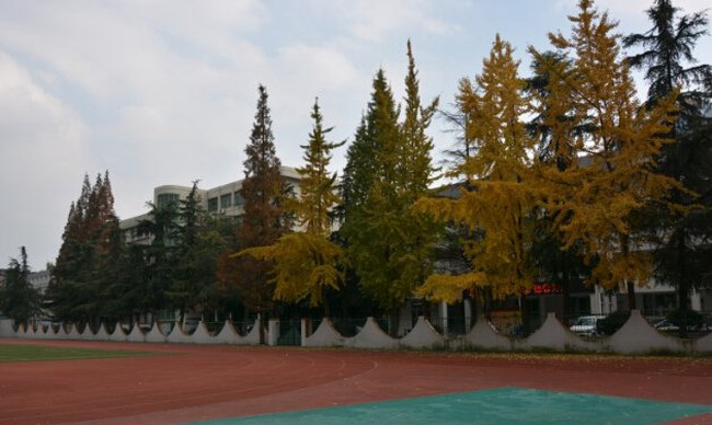 成都技师学院南校区（崇州技师学院）蜀州路校区塑胶跑道