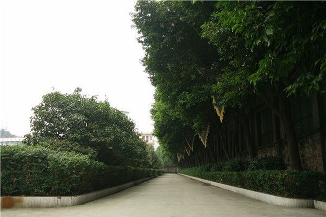 峨眉山文武学校校园风貌