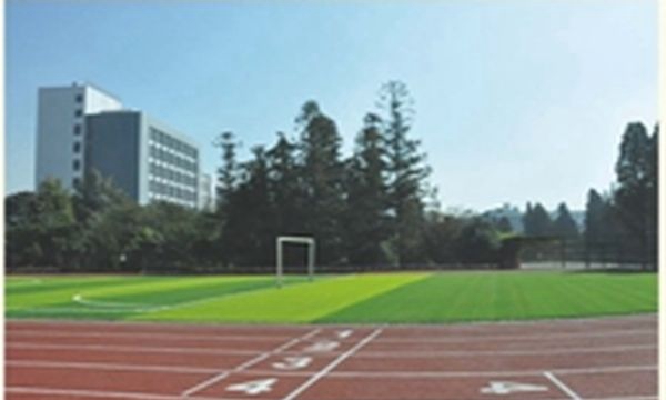 云南经贸外事职业学院运动场.fw