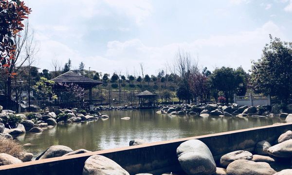 云南南方青年进修学院湖面景色