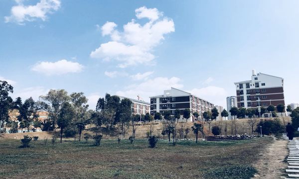 云南南方青年进修学院草地