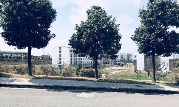 云南南方青年进修学院校园道路