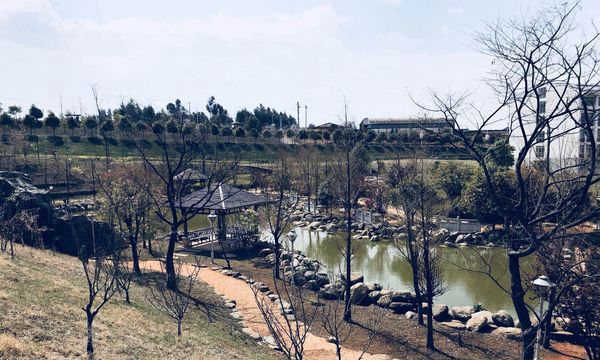 云南南方青年进修学院湖畔凉亭