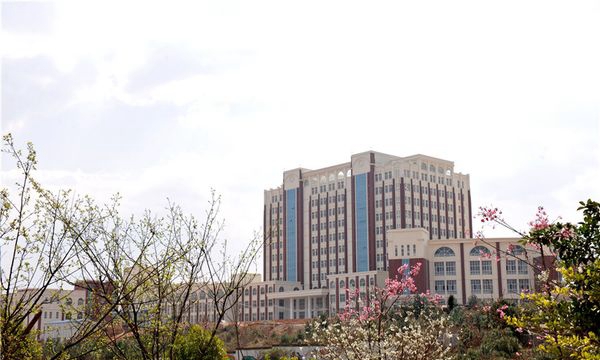 云南外事外语职业学院春日校园