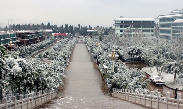 昆明卫生职业学院景观雪景
