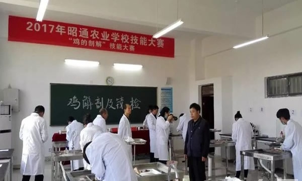 云南省昭通农业学校技能大赛(1)