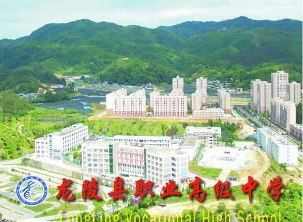 龙陵县职业高级中学学校全景