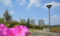 重庆育才职业教育中心占地面积、在校人数