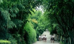 江北女子职业高级中学师资怎么样、就业好不好？
