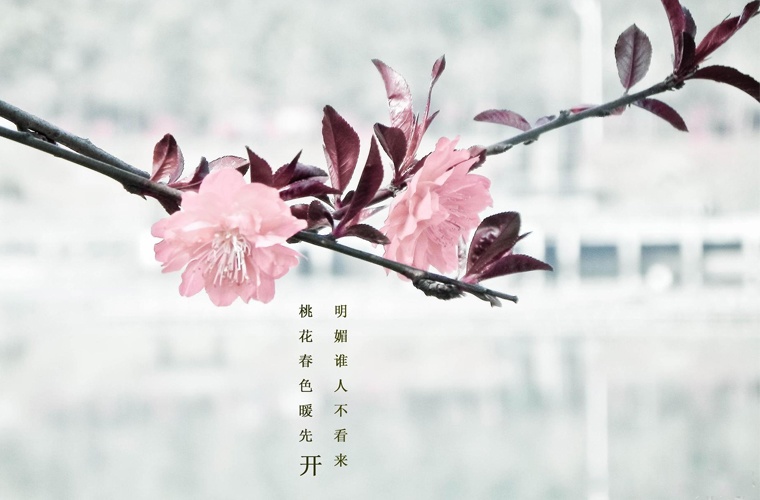 庆阳艺术设计学校
