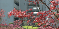 重庆三峡医药高等专科学校中医学专业招生