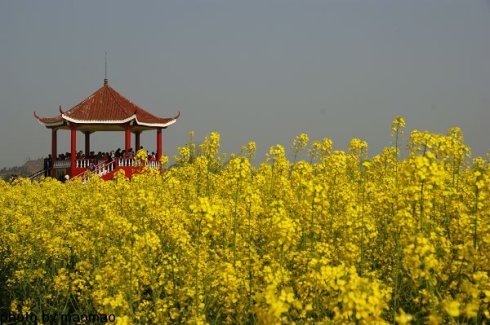 重庆酉阳民族师范学校