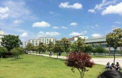 宁波行知中等职业学校2021年录取分数线