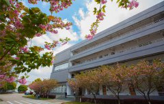 宁波交通技工学校2021年录取分数线