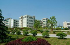 浙江云和县中等职业技术学校2021年招生分数线