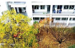 建德千岛交通职业学校2021年招生分数线