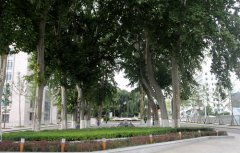 甘肃兰州气象学校2021年招生条件是什么