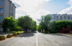 兰州华志艺术学校2021年报名条件是什么