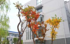 临夏农业学校2021年招生对象