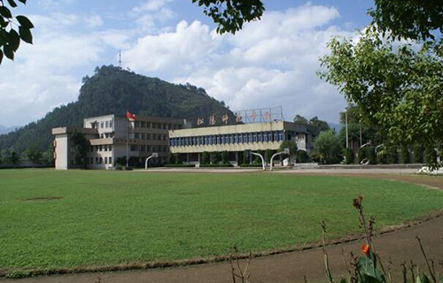 丽水黎明中专