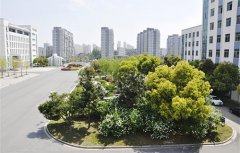 宁海县双林职业学校2021年多少分能报考