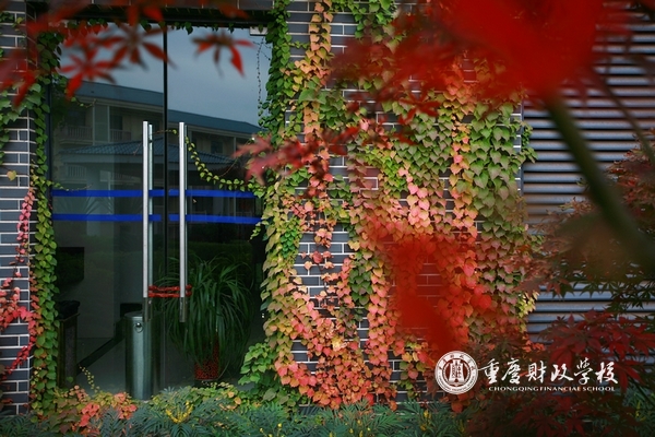 重庆财政学校