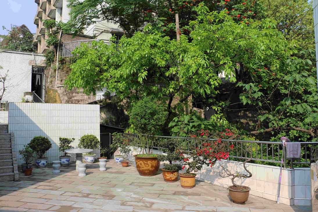 重庆医药经贸学校