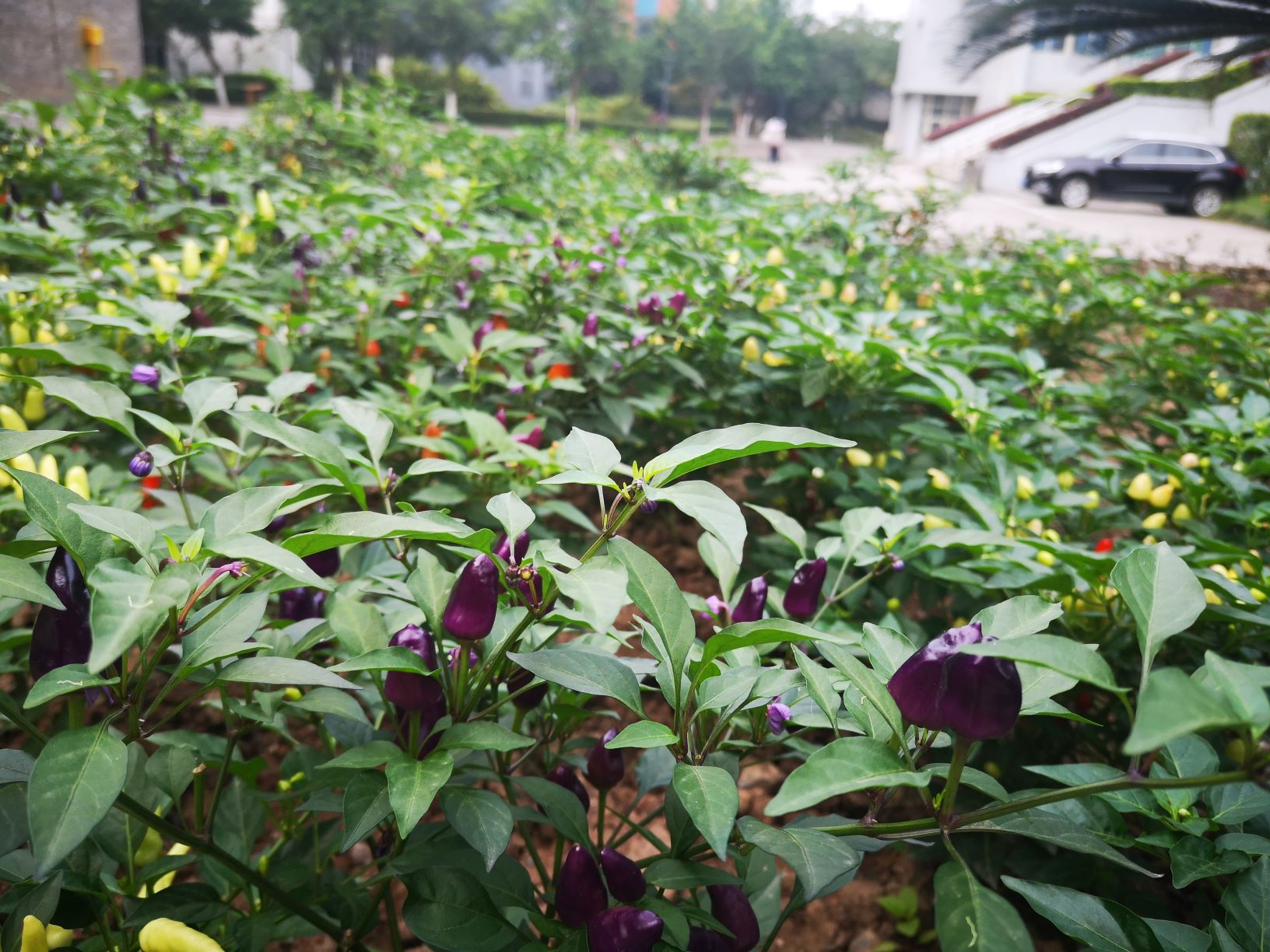 重庆万州三峡服装艺术学校