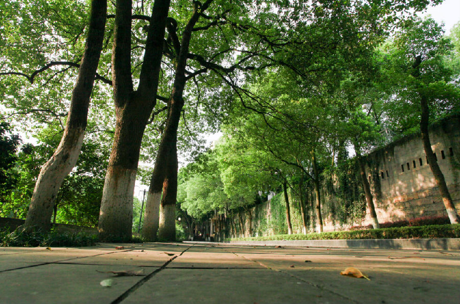 重庆航运旅游学校