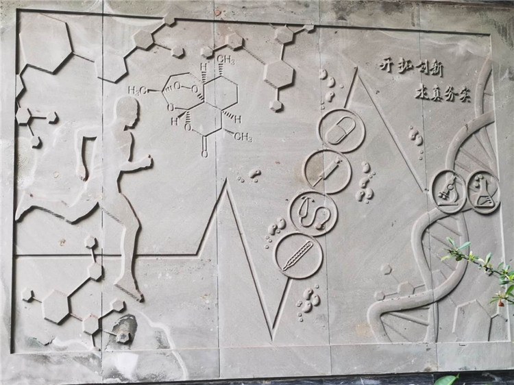 重庆医药经贸卫生学校