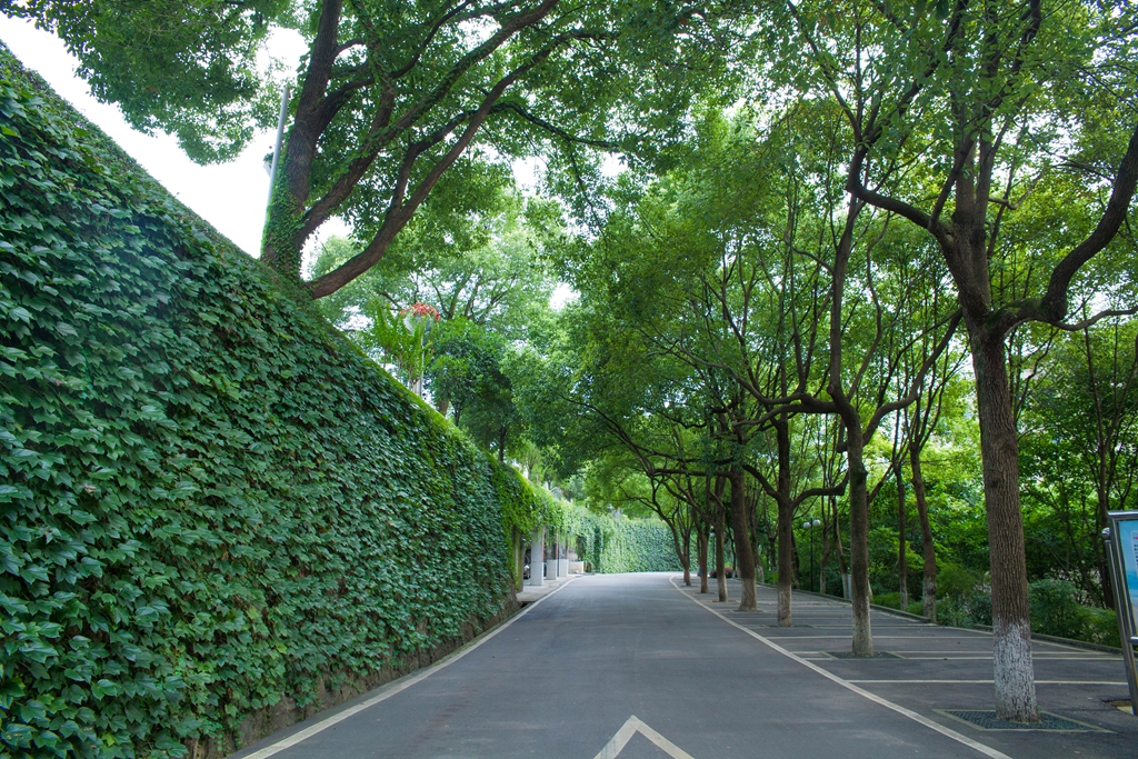 重庆旅游学校建胜分校