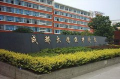 成都大学医护学院2019招生简章及计划