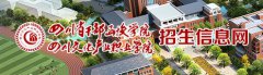 2019年四川文化产业职业学院单招报名入口