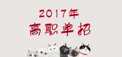 2019年四川工商职业技术学院单招录取分数线