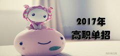 2019年四川西南航空职业学院单招报名时间及入口