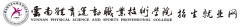 2019云南体育运动职业技术学院高职单招网「官方入口」