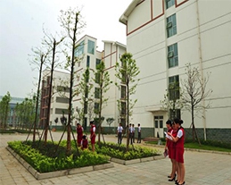 学校环境