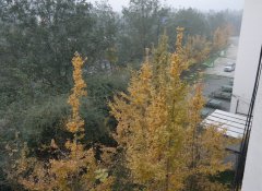 乐山市医药科技学校2019报名时间及报名方式