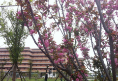 云南中医学院招生老师QQ及电话