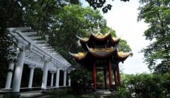 泸州医学院2019招生办电话及联系方式