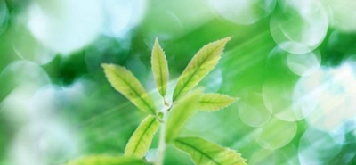 2025年初中毕业学护理专业，百色护理专业学校推荐~