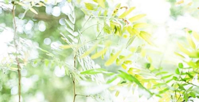 2025年初中毕业学护理专业，徐州护理专业学校推荐~
