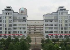乐山市计算机学校是民办学校还是公办学校？