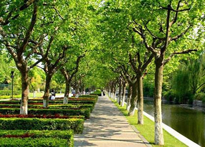 2025年初中毕业学护理专业，庆阳护理专业学校推荐~