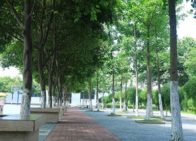 2025年丹东中职护理学校名单