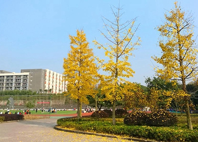 2025年廊坊中职护理专业学校有哪些