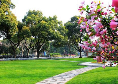 2025年阜新护理专业学校有哪些